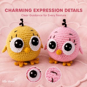 Può includere: Due figure di uccelli rotonde all'uncinetto, una gialla e una rosa, con grandi occhi neri bordati di bianco, piccoli becchi arancioni e un ricciolo nero sulla sommità. Testo: CHARMING EXPRESSION DETAILS Clear Guidance for Every Feature.