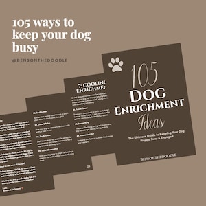 May include: A dark brown informational guide titled 105 Dog Enrichment Ideas, The Ultimate Guide to Keeping Your Dog Happy, Busy & Engaged. The pages feature a white paw print icon, numbered lists of activities, and the handle @BENSONTHEDOODLE.