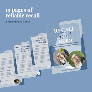 Puede incluir: Una guía digital de 19 páginas titulada Recall Reset Guide con páginas azules y blancas. La portada presenta dos fotos circulares de un perro doodle marrón y blanco. El texto incluye Part 1: Understand Recall, Part 3: Build a Reliable Recall y @BensonTheDoodle.