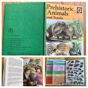 Vintage Ladybird Books. Vari titoli degli anni '60 e '70. Serie di scienze e storia naturale per scienziati in erba o già affermati!