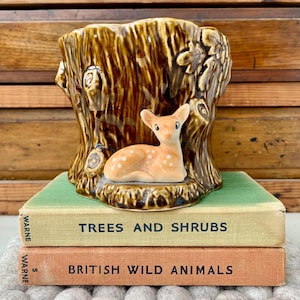 May include: A ceramic planter shaped like a tree stump, with a small fawn figurine resting on the base. The planter is brown with a glossy finish. Two vintage books with the titles "TREES AND SHRUBS" and "BRITISH WILD ANIMALS" are stacked below.