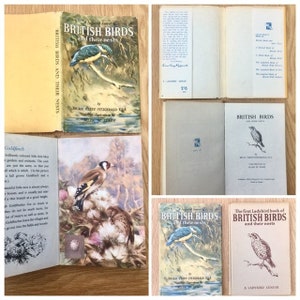 Vintage Ladybird Books from the 1950s, 60s & 70s. Various titles. All in very good condition. Start your collection! Individually priced.