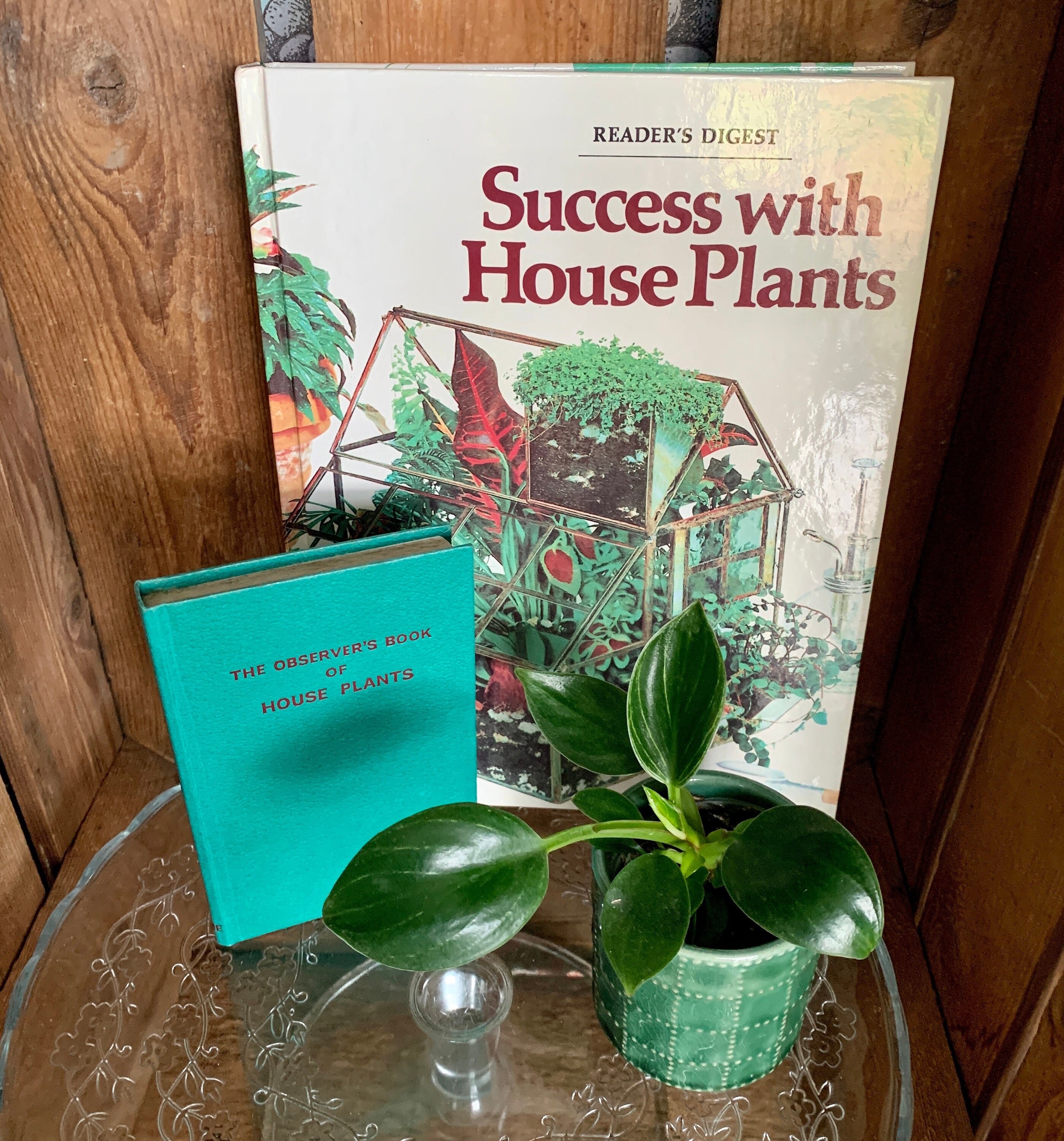 Vintage Readers' Digest Book 'success With Houseplants'. Published