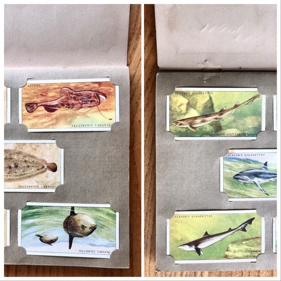 Cigarette Picture Card Albums. Three Available, Sold Separately. Pure  Nostalgia!