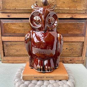 Może przedstawiać: Błyszcząca, brązowa ceramiczna figurka sowy z dużymi oczami i szczegółowym wzorem piór. Sowa siedzi na zabytkowej książce zatytułowanej "BRITISH BIRDS". Tło przedstawia drewnianą szafkę. Sowa ma około 20 cm wysokości.