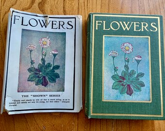 Vintage Kopie von ""Blumen für die Kinder gezeigt"" Buch." Teil einer Sammlerserie von Naturführern. Publiziert in England in den 1910er Jahren.