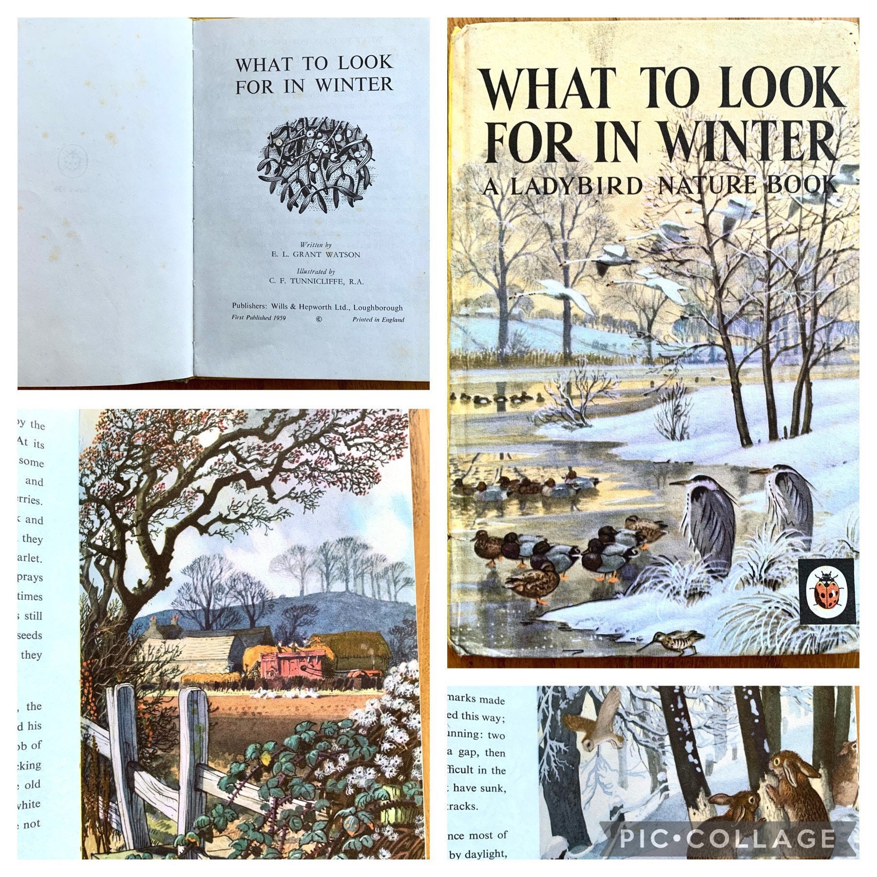 Vintage Ladybird Books From the 1950s, 60s & 70s. Various