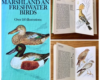 1910年代 イギリスの鳥図鑑　鳥の図鑑　ヴィンテージ 1910年代 イギリスの鳥図鑑 鳥の図鑑 ヴィンテージ 1910年代