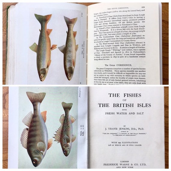 Rare/collectable Books About Fishing and Fishes of the British Isles. All  in Good Vintage Condition. Lovely Illustrations & Colour Plates. 