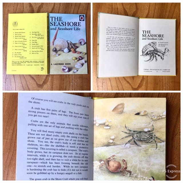 Vintage Ladybird Books From The 1960s 70s Various Titles Etsy Vintage Ladybird Books From The 1960s 70s Various Titles Etsy
