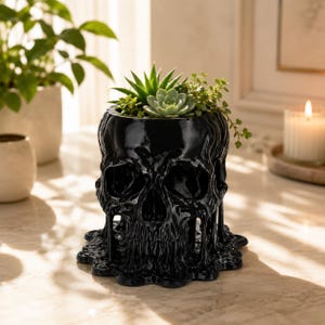 May include: A glossy black skull-shaped planter with a melting wax effect at the base. The top of the skull is open and contains a small green succulent plant with pointed leaves and a trailing vine-like plant with tiny round leaves.