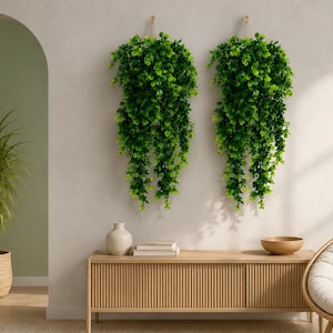 May include: Two artificial hanging plants with lush green foliage are mounted on a light-coloured wall. The plants feature cascading stems and dense leaves, creating a vibrant display. These decorative botanical elements add a natural touch.