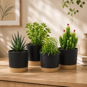 Op de afbeelding: Vier potplanten in matzwarte cilindrische houders met een natuurlijke kurken basis. De collectie bevat een stekelige groene vetplant, een groene bladplant, een fijnbladige plant en een groene cactus met kleine rode topjes op de stengels.