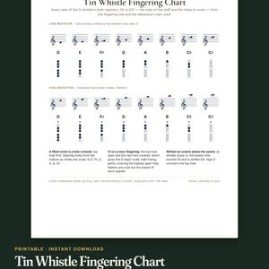 Tin Whistle Fingering Chart, Penny Whistle Chart Printable, Irish Whistle Notes and Tabs for D Whistle, Every Key Chart, Low Whistle