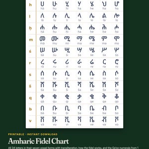 May include: An Amharic Fidel chart featuring a grid of Ge'ez script characters organized by consonants and seven vowel forms with transliteration. The white chart displays rows of dark blue symbols on a dark green background with text labels.