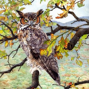 May include: A watercolor painting of a great horned owl perched on a branch of a tree with autumn leaves. The owl has yellow eyes and brown and gray feathers. The background is a blurry landscape of green and brown.
