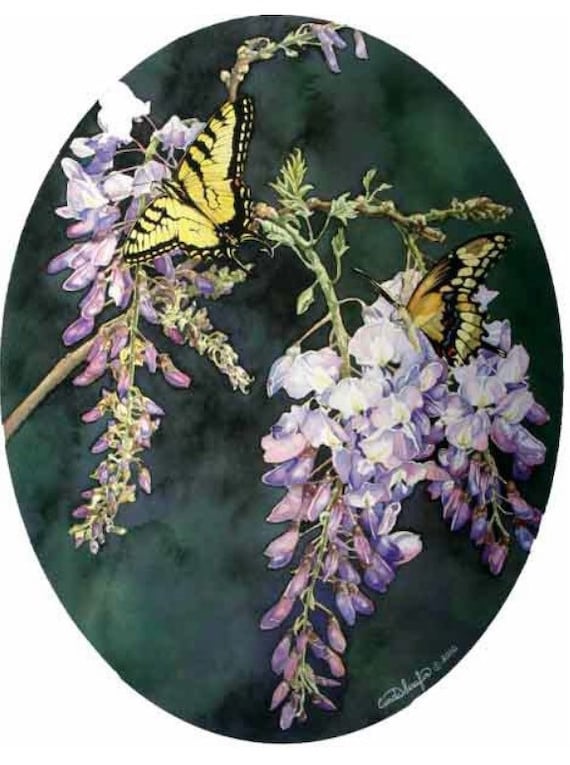 Butterfly and Flowers Limited Edition Print of My Watercolor Painting.  Yellow Tiger Swallowtail, Wisteria. Signed & Numbered. Cinda Serafin - Etsy
