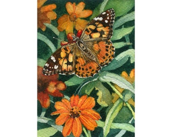 ACEO Giclee print from watercolor painting Butterfly & flowers miniature Cinda Serafin, nature wildlife, rustic wall decor, cabin, lodge SFA