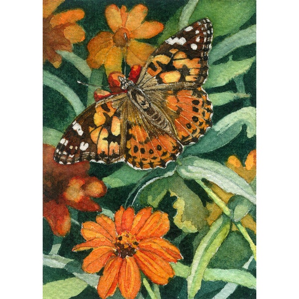 ACEO Giclee print from watercolor painting Butterfly & flowers miniature Cinda Serafin, nature wildlife, rustic wall decor, cabin, lodge SFA