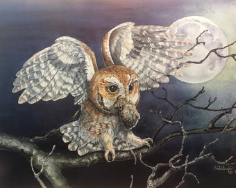 Moon Landing, screech owl limited edition print of watercolor. Arkansas Wildlife Federation print 1997 artist proof. Cinda Serafin