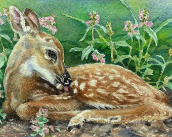 ACEO Giclee print from watercolor painting whitetail deer fawn miniature Cinda Serafin, nature wildlife, rustic wall decor, cabin, lodge SFA