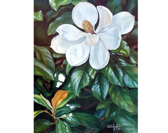 Magnolia flower limited edition print of watercolor painting. Southern decor, floral art print, signed, numbered. Cinda Serafin