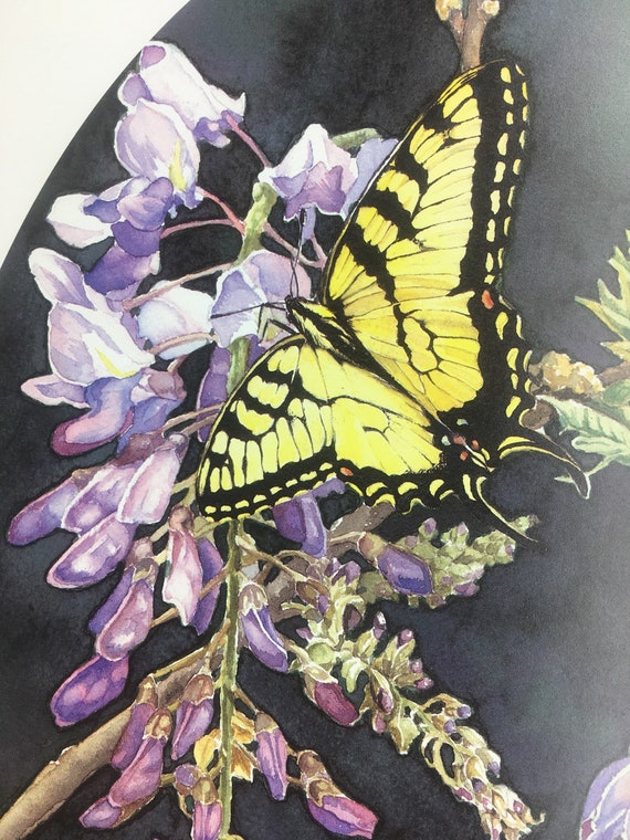 Butterfly and Flowers Limited Edition Print of My Watercolor Painting.  Yellow Tiger Swallowtail, Wisteria. Signed & Numbered. Cinda Serafin - Etsy