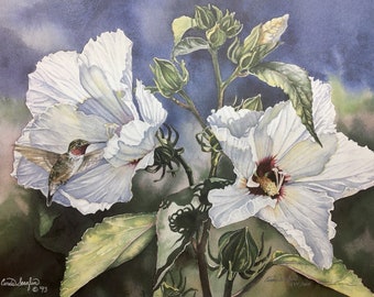 Hummingbird and hibiscus limited edition print of watercolor painting. Rustic decor, nature art print, signed, numbered. Cinda Serafin