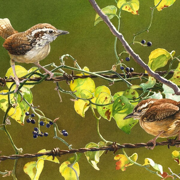 Wrens, Edición Limitada Giclee Impresión de una pintura original de acuarela por Cinda Serafin, Wildlife & Nature Art, Birds