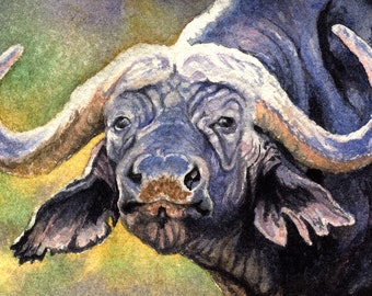 ACEO Giclee print from watercolor painting Cape buffalo miniature by Cinda Serafin, nature wildlife, big game African safari, SFA