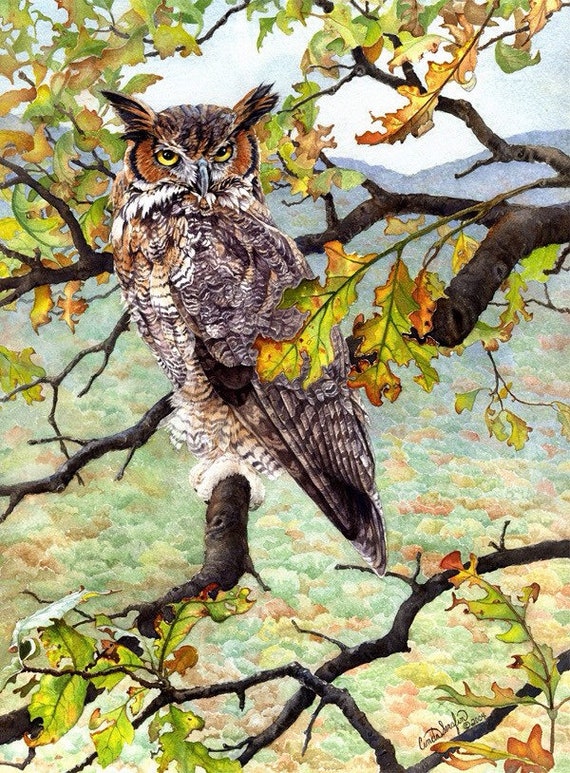 Great Horned Owl Limited edition giclee print by Cinda Serafin. Rustic decor, wildlife art. Signed and numbered, watercolor print.