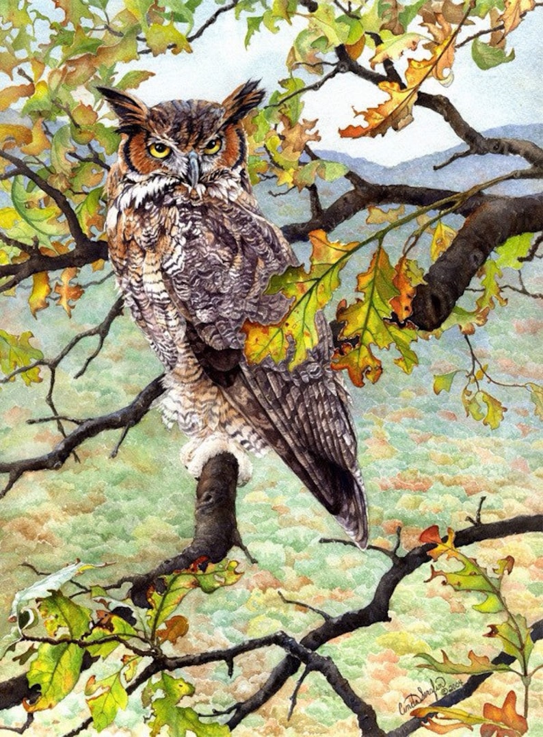 May include: A watercolor painting of a great horned owl perched on a branch of a tree with autumn leaves. The owl has yellow eyes and brown and gray feathers. The background is a blurry landscape of green and brown.