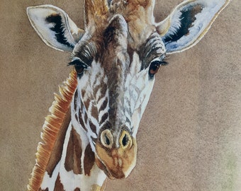 Giraffe limited edition print of watercolor painting. Rustic decor, nature art print, wildlife, african, safari, signed and numbered.