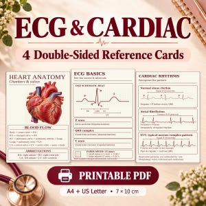 May include: Four double-sided reference cards titled ECG & CARDIAC featuring heart anatomy, blood flow, ECG basics, and cardiac rhythms. The cards include diagrams of a human heart, ECG waves, and text labels. Includes a printable PDF option.