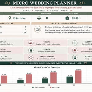 Mikrobröllopsplanerare | Budget, gästlista och tidslinje i Excel (digital nedladdning)