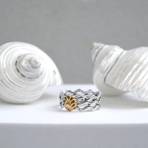 May include: A silver ring with a wavy design and a gold seashell accent. Two large white seashells are in the background. The ring is on a white surface.