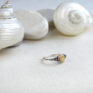 May include: A silver ring with a gold seashell design. The ring is set against a white background with seashells and white stones. The ring's band has a delicate, ornate pattern.