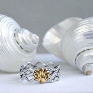 May include: A silver ring with a gold seashell design in the center, set against a backdrop of two white seashells. The ring has a wavy pattern. The seashells are pearlescent.
