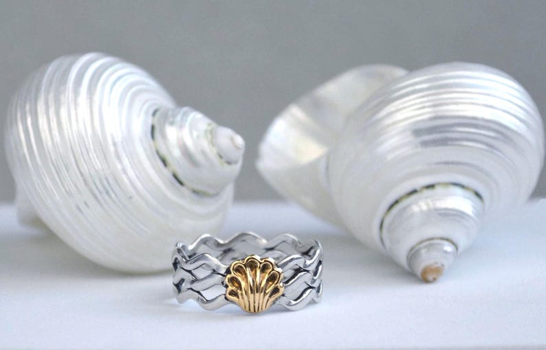 May include: A silver ring with a gold seashell design in the center, set against a backdrop of two white seashells. The ring has a wavy pattern. The seashells are pearlescent.