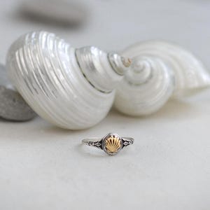 May include: A silver ring with a gold seashell design is displayed in front of a white seashell. The ring has a small, oval-shaped gold center with intricate silver detailing. The background features a large, white seashell and a few gray stones.