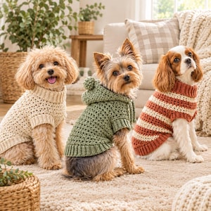 Può includere: Tre cani indossano maglioni all'uncinetto. Il cane a sinistra indossa un maglione color crema con colletto a coste. Il cane al centro indossa un maglione con cappuccio verde salvia con un pon-pon. Il cane a destra indossa un maglione a righe color ruggine e crema.