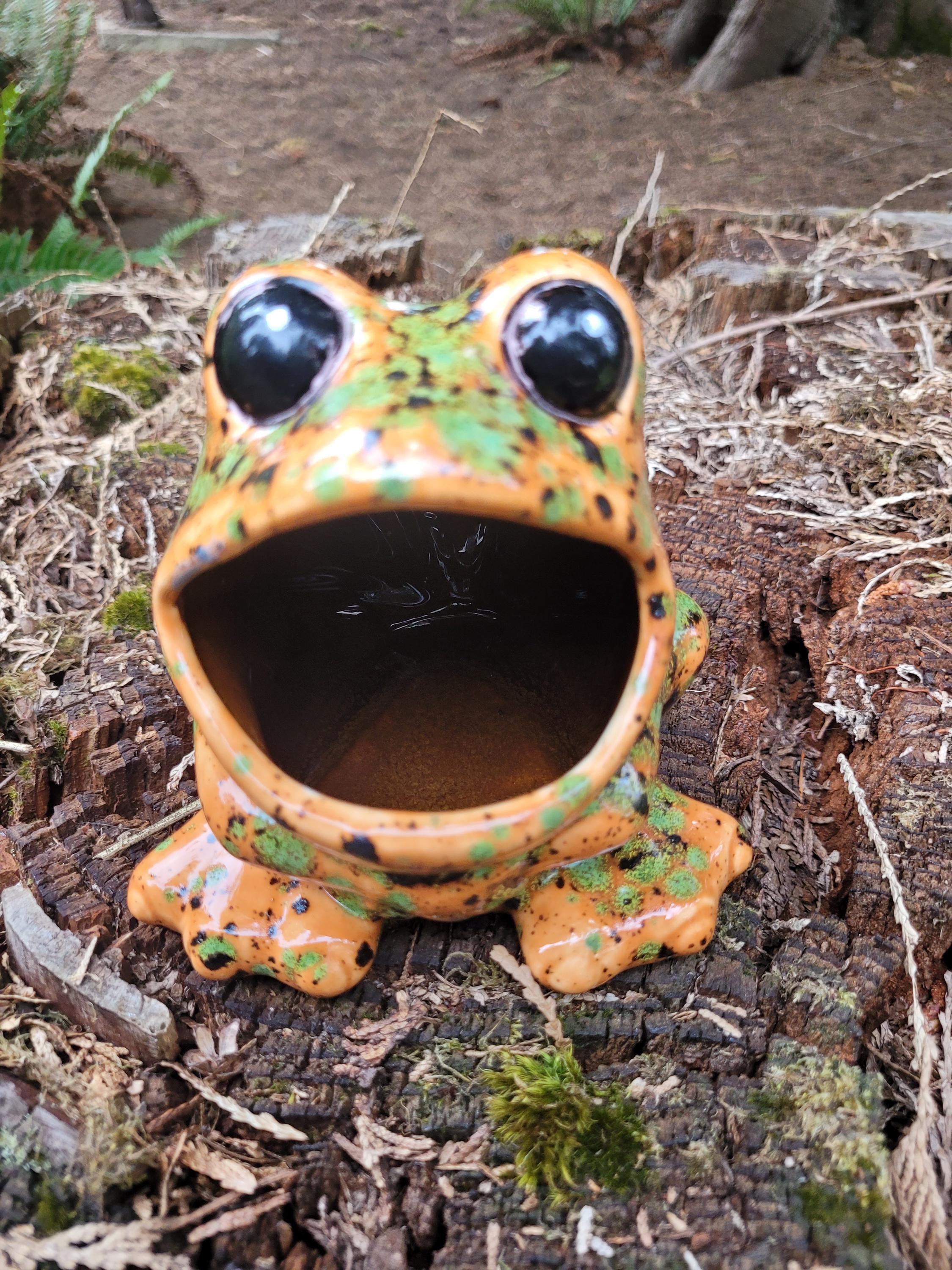 Retro Ceramic Frog Scrubby Sponge Holder Vintage Mold Toad Kitchen