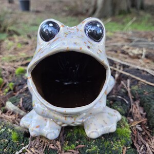 Puede incluir: Un macetero de cer&aacute;mica con forma de rana con un esmalte moteado de color gris claro y marr&oacute;n. La rana tiene la boca muy abierta y grandes ojos negros.