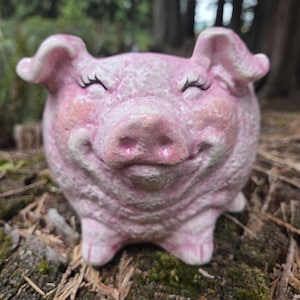 May include: A smiling, pink ceramic pig planter with closed eyes and small legs. The pig has a textured surface and is sitting on a mossy, natural surface. The planter is designed to hold small plants or flowers.