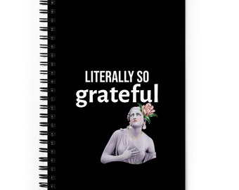 Literally So Grateful Journal, Mindfulness Journal, Self Love Journal, Mindfulness Notebook, Gratitude Journal, Diary