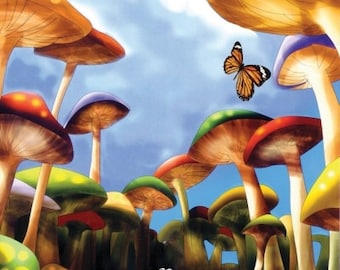 Photography Backdrop-Photo Background For Kids and Chlldren  "Softeez",Wrinkle Free Material (better than vinyl) SFTKD4