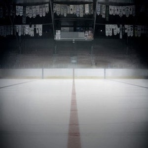 May include: An empty ice hockey rink with a red center line. The rink is surrounded by empty bleachers and a dark ceiling.