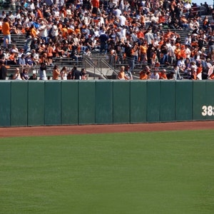 May include: A large crowd of people wearing orange and black clothing are seated in the stands at a baseball game. The stands are behind a green fence with a white number 38 on the right side of the fence. The field is green with a brown infield.