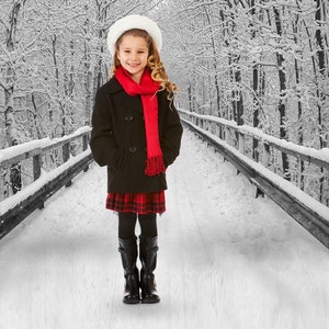Winter Bridge Holiday Scenic Backdrop SFTC30