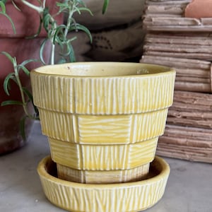 May include: A yellow ceramic plant pot with a matching saucer, featuring a tiered, stepped silhouette and a textured, vertical ribbed pattern across the exterior surface. The pot has a wide, open top and a tapered base that sits inside the saucer.